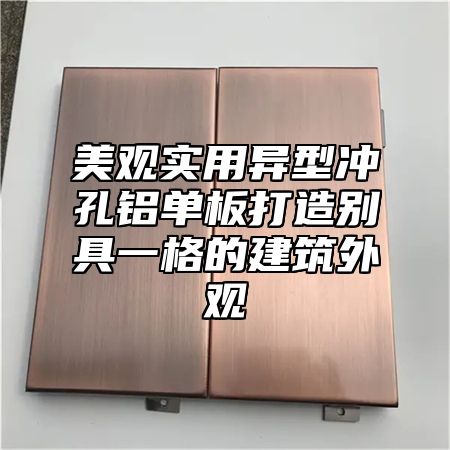 美观实用异型冲孔铝单板打造别具一格的建筑外观