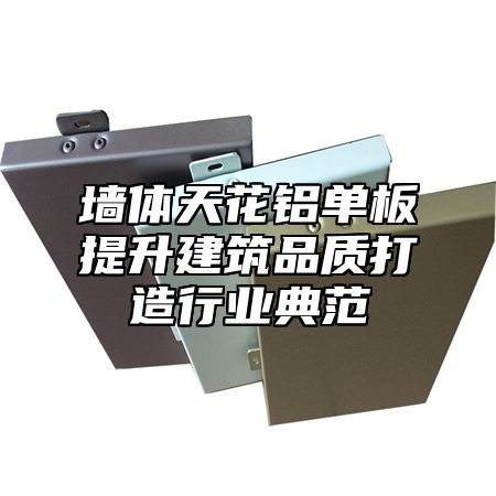 墙体天花铝单板提升建筑品质打造行业典范