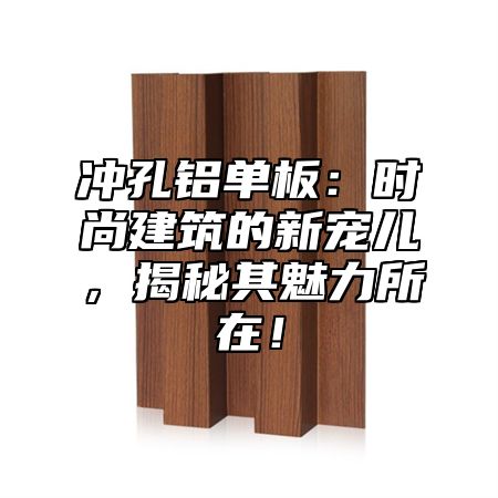 冲孔铝单板：时尚建筑的新宠儿，揭秘其魅力所在！