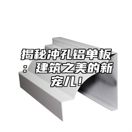 揭秘冲孔铝单板：建筑之美的新宠儿！