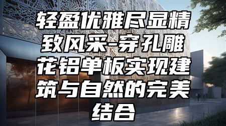 轻盈优雅尽显精致风采-穿孔雕花铝单板实现建筑与自然的完美结合