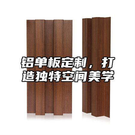 铝单板定制，打造独特空间美学