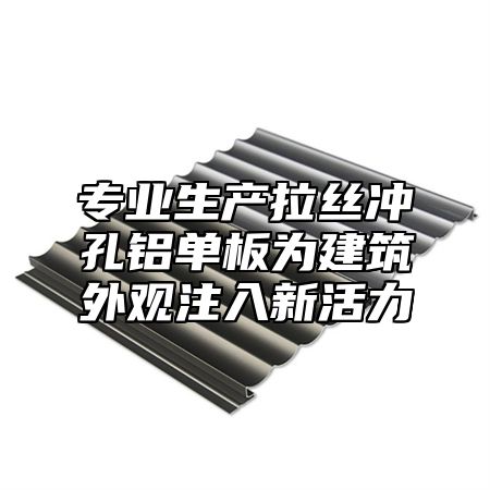 专业生产拉丝冲孔铝单板为建筑外观注入新活力