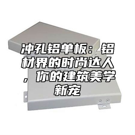 冲孔铝单板：铝材界的时尚达人，你的建筑美学新宠