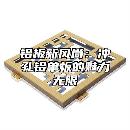 铝板新风尚：冲孔铝单板的魅力无限