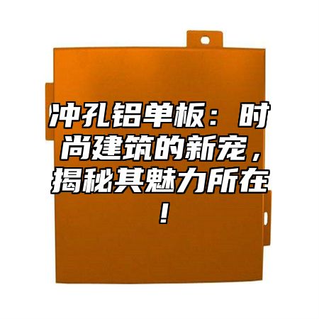 冲孔铝单板：时尚建筑的新宠，揭秘其魅力所在！