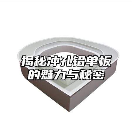 揭秘冲孔铝单板的魅力与秘密